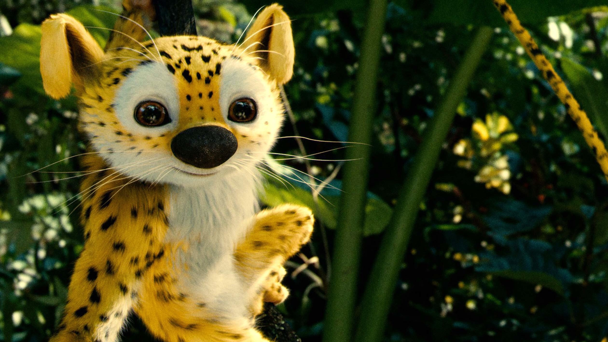 Theo dấu Marsupilami